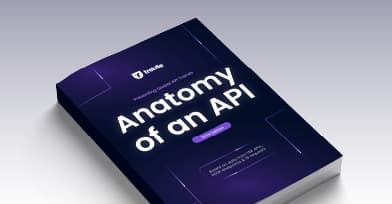 The Anatomy of an API: 2024 Edition cover