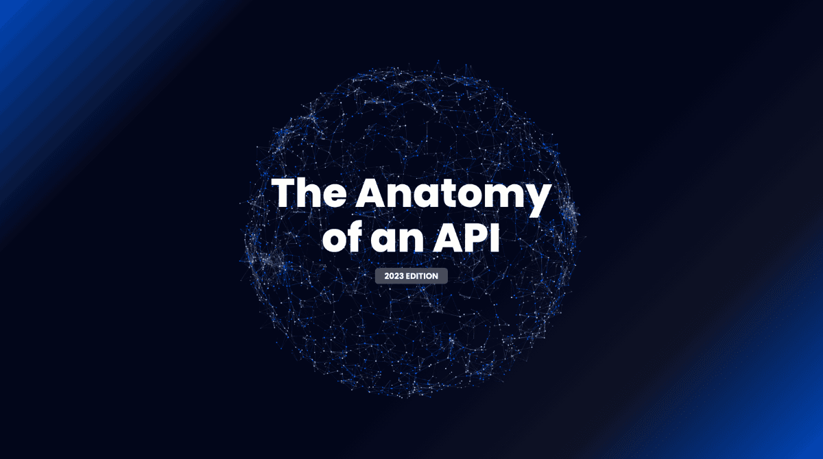 The Anatomy of an API in 2023: A Comprehensive Overview image